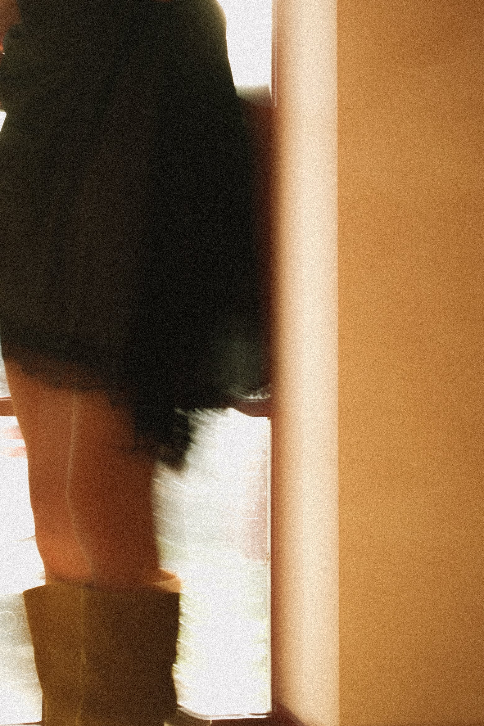 LACY DRESS BLACK - Image 17