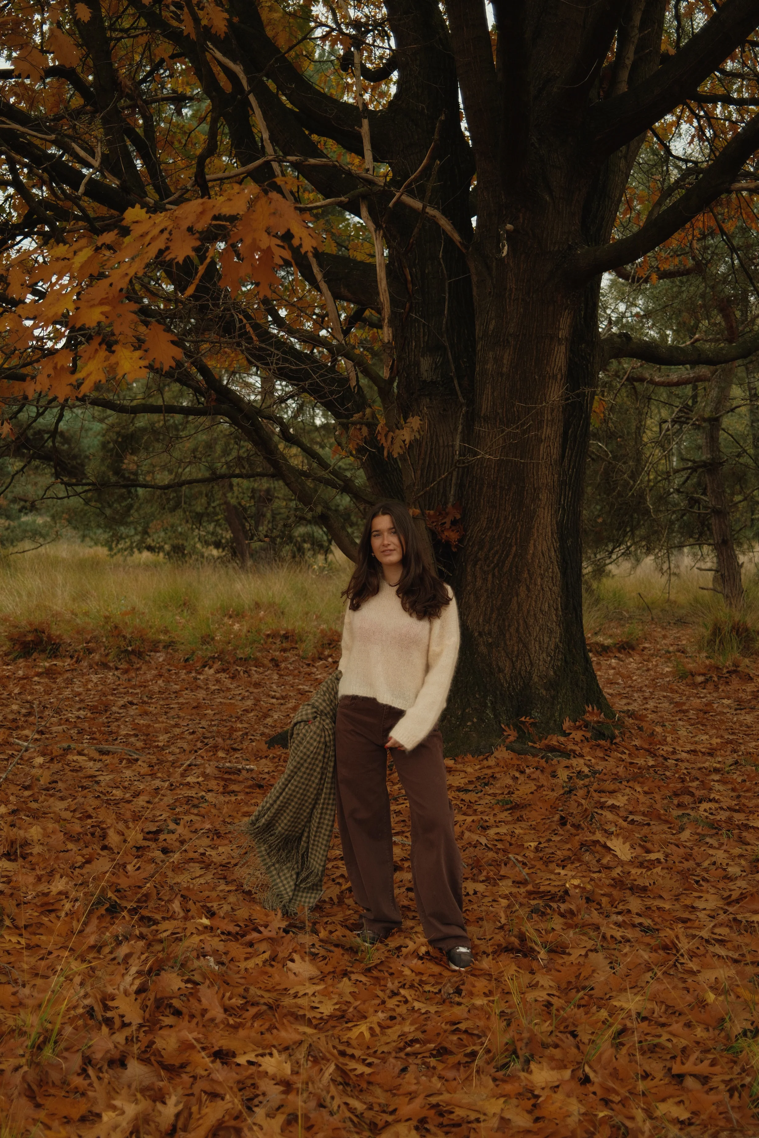 SLOW MORNING MOHAIR KNIT BEIGE - Image 5